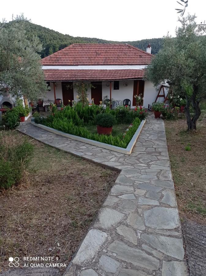 Armonia Apartment Panormos (Skopelos)