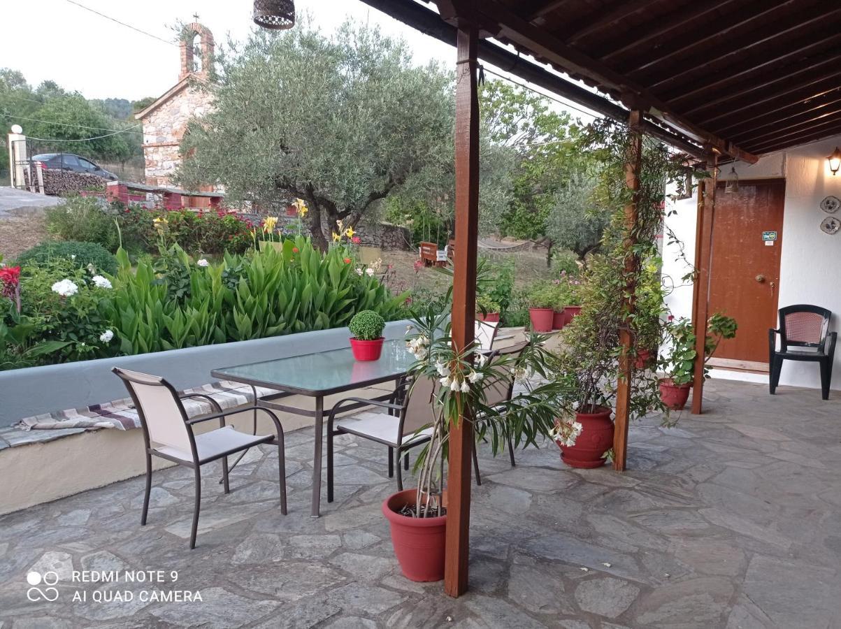 Apartment Armonia Panormos (Skopelos)