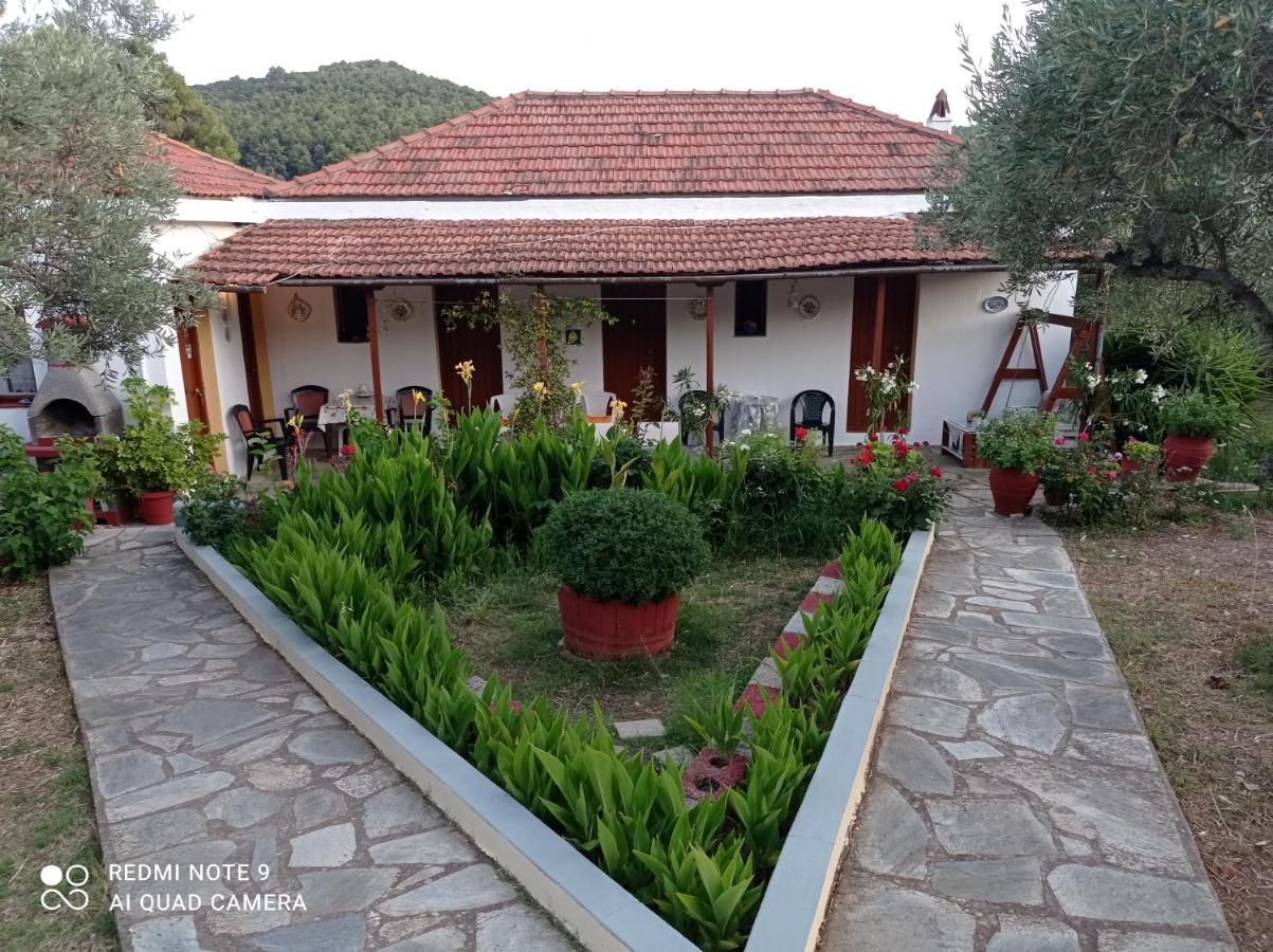 Apartment Armonia