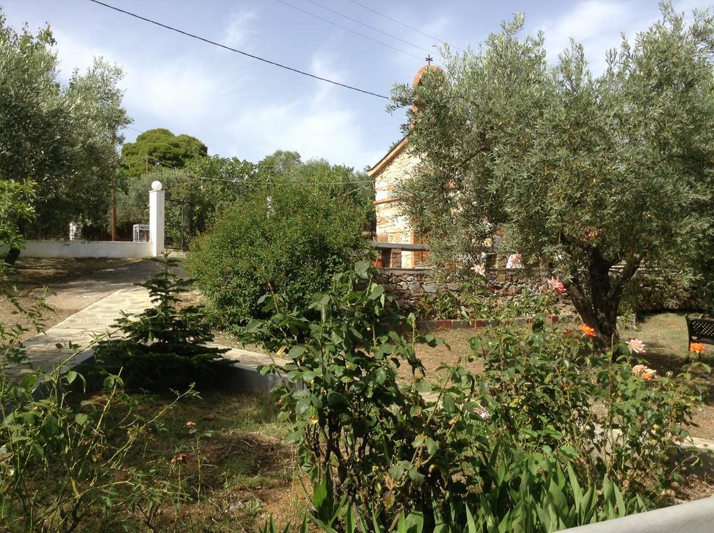 Apartment Armonia Panormos (Skopelos)