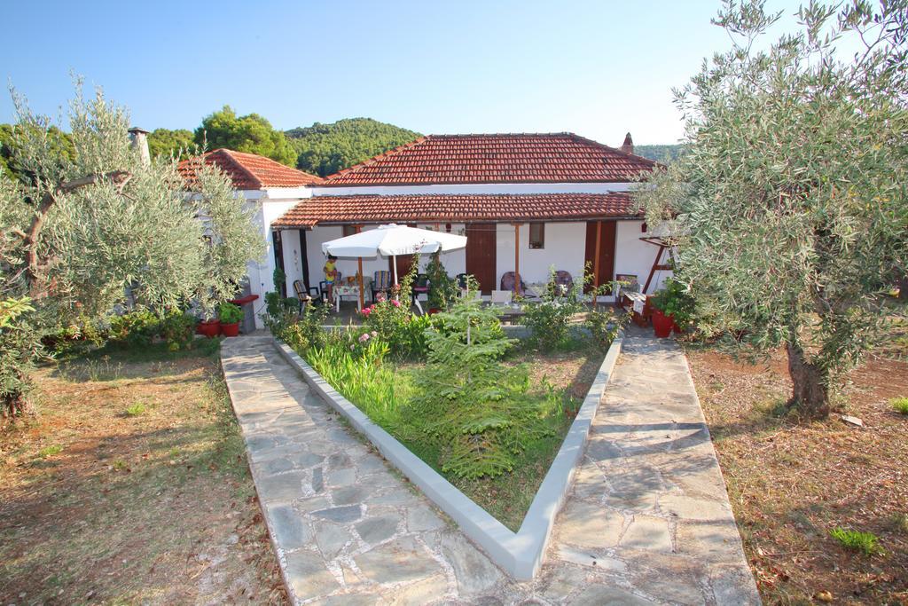 Apartment Armonia Panormos (Skopelos)